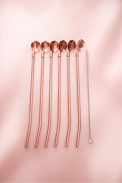 Elista 6-Piece Bronze Latte Spoon with Straw, Cocktail Spoon and Cleaning Bru...