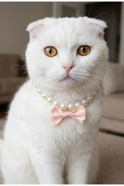 BİJUTERİ EVİ Cat Collar with Pearl and Bow Tie
