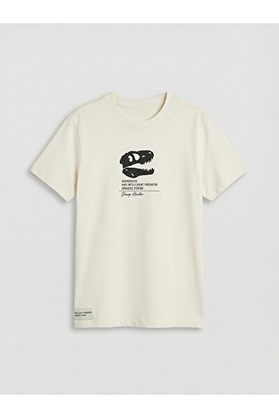LC Waikiki Original Oval Collar Printed Boy's T-Shirt