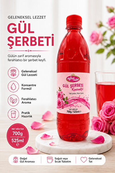 308 FIRUZ 700g/525ml Gül Şerbeti