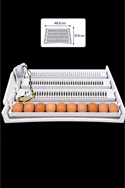 YCL Kuluçka Kuluçka Gelişim Viyolü(24 Kaz, 40 Tavuk, 128 Bıldırcın, 2.5/3 Rpm...