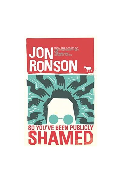 Picador So You've Been Publicly Shamed