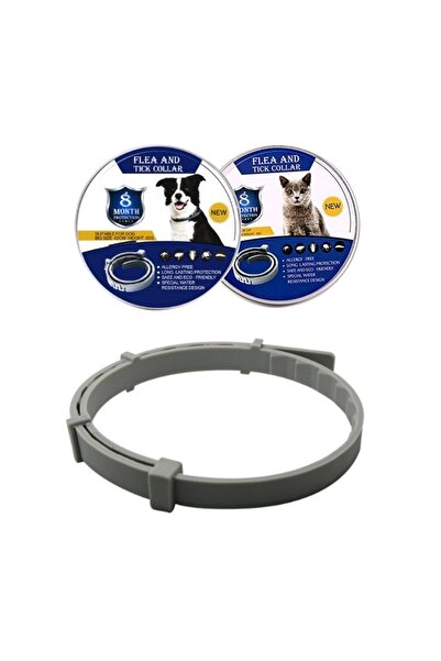 Choice1 62cm for Dogs Gray Box package Adjustable Anti Flea Dog Collar Pet Ca...