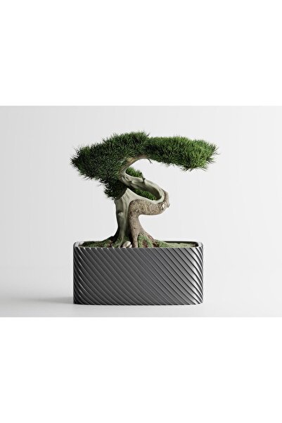 Sani Ghiveci decorativ Sani, Bonzai, mare 185 x 103 x 80 mm, argintiu