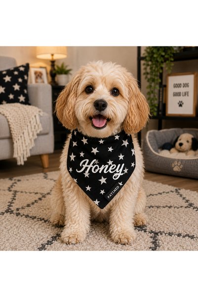 PATİMİO Isme Özel Kedi Ve Köpek Black Stars Tasma Fular Bandana