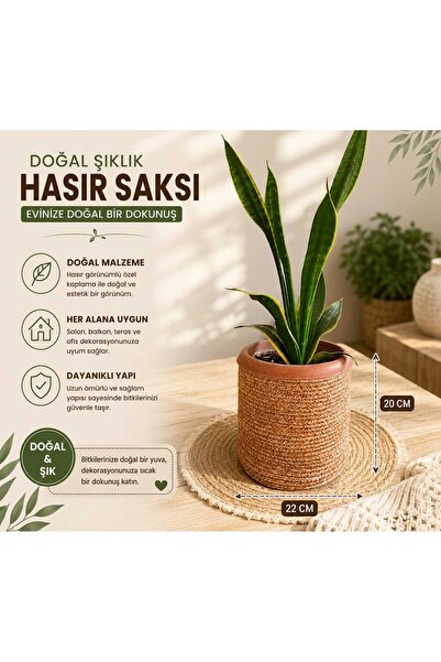 EYLCOTTON Hasır Saksılık Yuvarlak çok amaçlı Sepet Saksılık 22x20