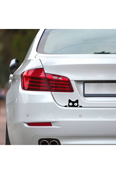 OEM Sticker auto (30cm) - Pisica