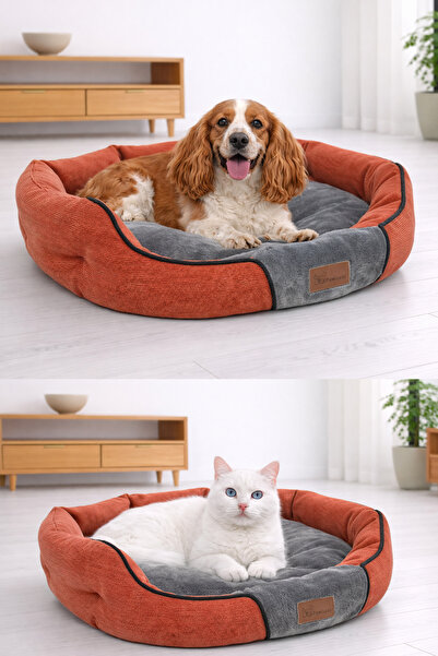 PAWİYANS Champion Box Üst Kalite Kedi Köpek Yatağı ,Soft Kumaş,Yıkanabilir %1...