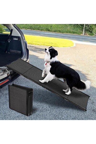 Dotail FASNATI Αναδιπλούμενη Ράμπα Σκύλων, 180x50 εκ., αντιολισθητική επιφάνε...