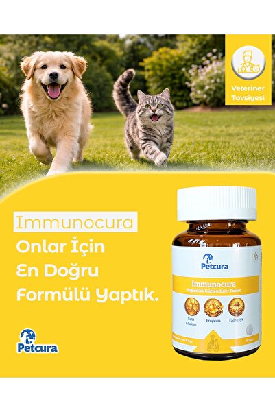PETCURA Immunocura Tablet Kedi Köpek (Bağışıklık Sistemi)