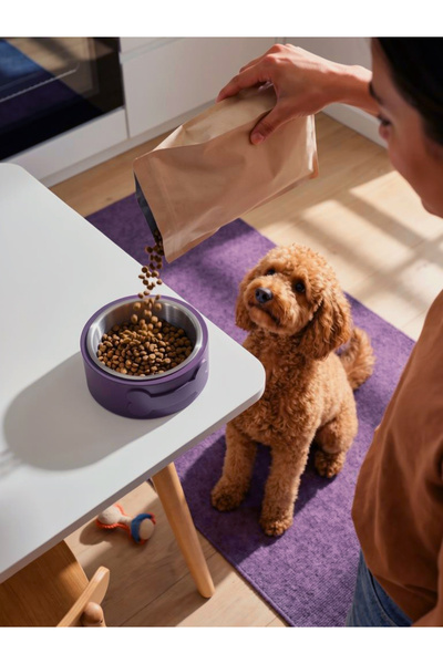 nomi pet Kişiselleştirilebilir Renkli Kedi Köpek Mama Su Kabı 18Cm