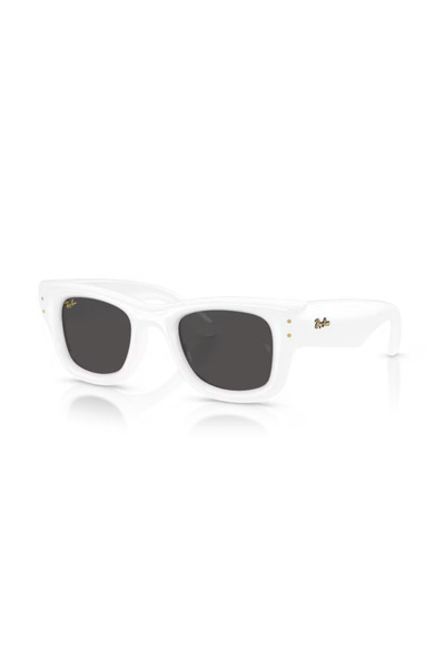 Ray-Ban 4940 PUFFER 671/87 50-23-150 Unisex Güneş Gözlüğü