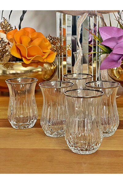P&ORA PREMIUM KITCHEN PRODUCTS Original Echo 6-Piece Silver Mouthed Real Gilded Tea Cup, Gift, Dowry, Luxury