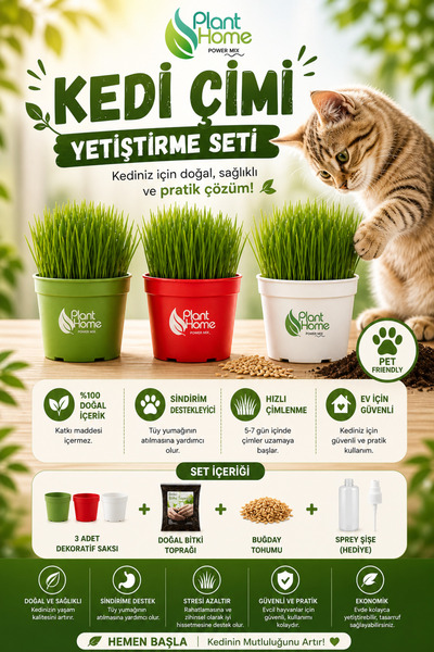 plant-home Kedi Çimi Yetiştirme Seti – Doğal, Sağlıklı ve Pratik Evde Kedi Çi...