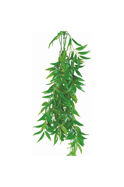 HAPPET Ficus Longifolia 50CM Decorațiune pentru terariu