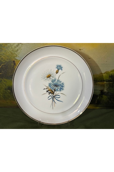 tayfuntufan antika koleksiyon Alman Hutschenreuthr Tavola Series Porcelain De...