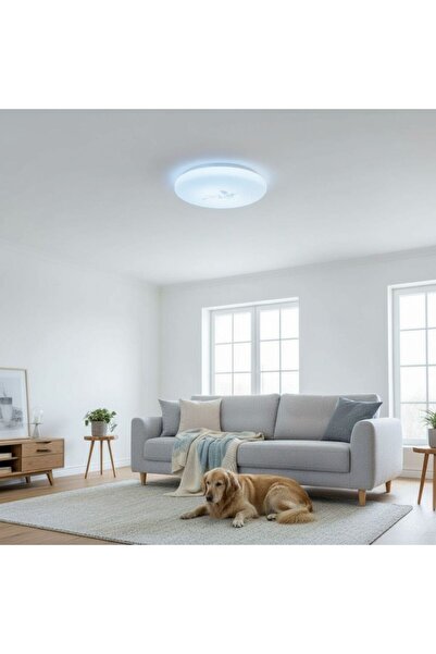 DELIGHT Plafonieră LED Flower fi300 18W=120W, 6500K, lumină rece
