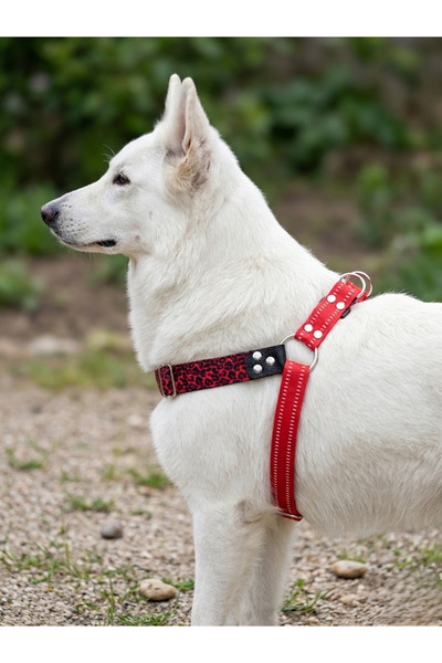 balkonda Dog Chest Collar Large Breed Adjustable Column Cord Red & Burgundy
