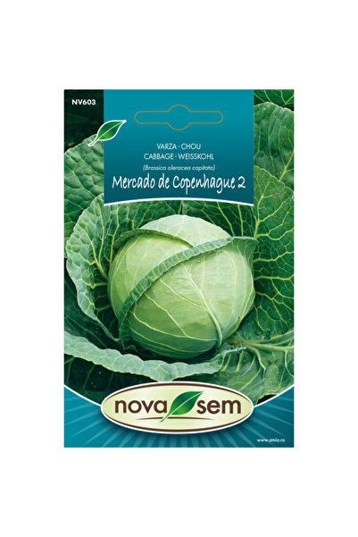 Novasem Seminte de varza Mercado de Copenhague 2 Novasem, 1,5 g