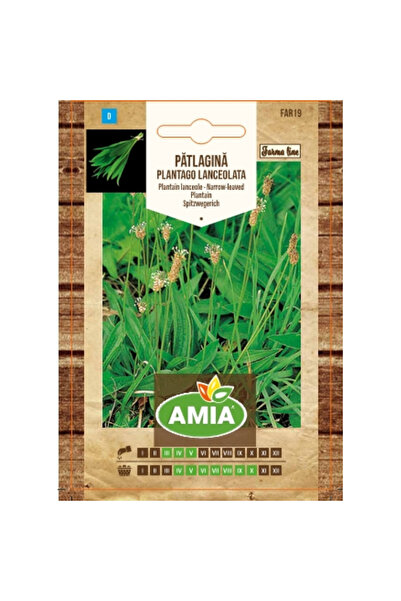 Amia Seminte de patlagina, Farma Line, Plantago lanceolata