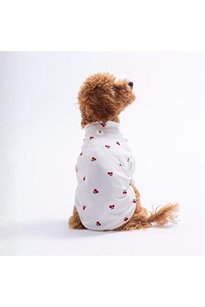 Pettrend Cherry Bloom Kiraz Desenli Kedi Köpek Sweati - Kedi Köpek Kıyafeti-K...