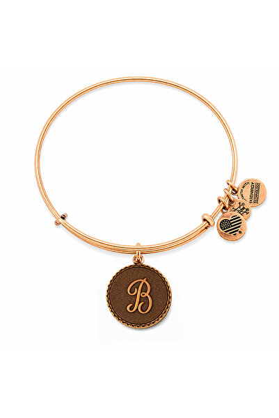 Alex and Ani Bratara Metal A08EB91BG