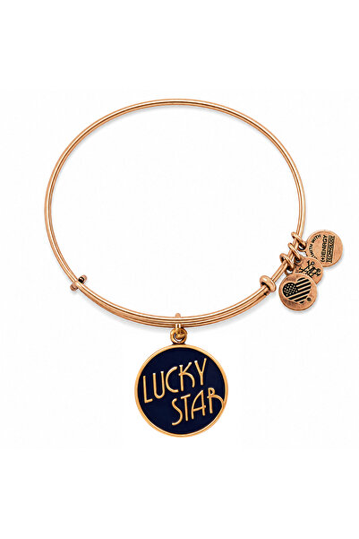 Alex and Ani Bratara Metal A12EB19RG