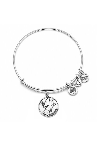 Alex and Ani Bratara Metal A13EB01VIRS