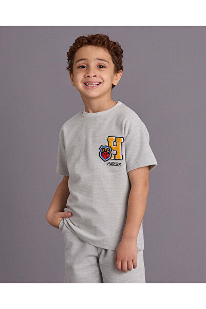 REDTAG Boys Grey Embroidered T-Shirt