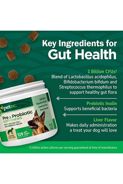 I PET NATURAL CARE PetNC Natural Care Pre & Probiotic Soft Chews, 120 ct (Pack of 1)