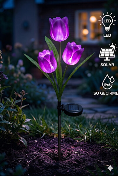 Kelira Güneş Enerjili Bahçe Aydınlatması Günışığı veya Çok Renkli LED Işıklar...