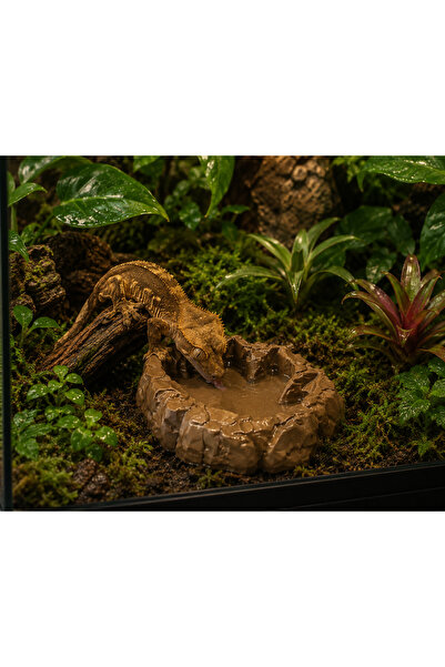 ecraft3D Dinozor Ayak İzi Sürüngen Su Kabı