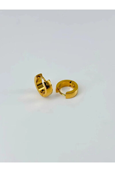 Marsilyan Nvdn- Ieg - Steel Men's Earrings Iegrs-Nvdn1