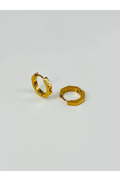 Marsilyan Nvdn- Ieg - Steel Men's Earrings Iegrs-Nvdn1