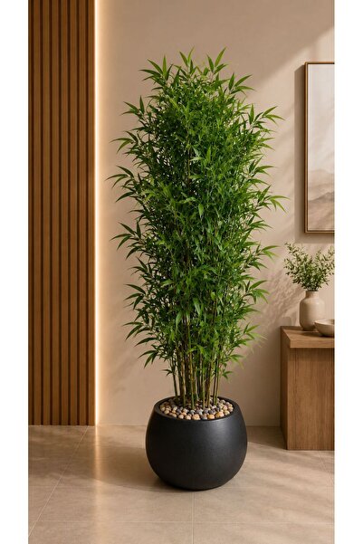 sahome Artificial Tree with Fiber Base, 170cm Tall