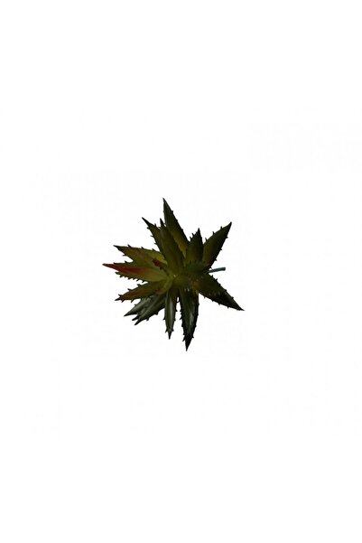 OEM Plante Suculente Artificiale Floare Tepoasa Mica (Set 3 buc)