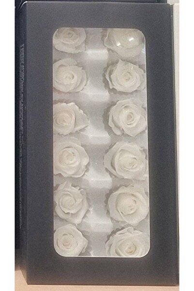 OEM Trandafiri criogenati, 12 bucati/cutie, diametru 4 cm Alb