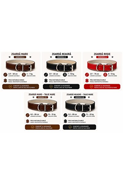 OEM Dog Collar Made of Natural Leather with Double Collar