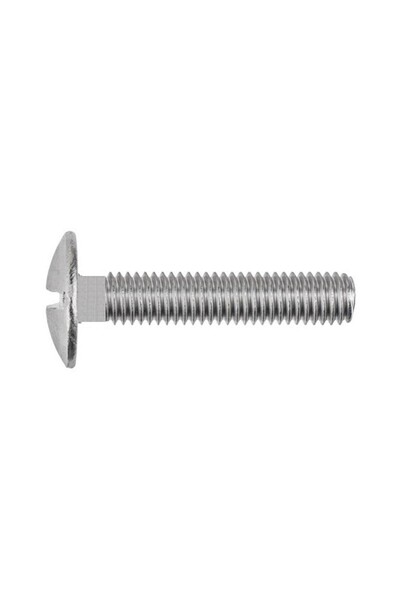 Rocast Set 100 x Surub Ornamental Otel-M6 X 80