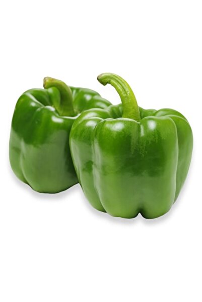 OEM Legume ornamentale, Ardei verde, 5-10 cm