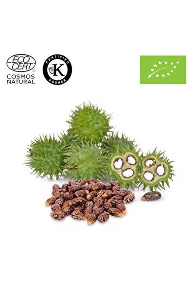Herbstore.gr Καστορέλαιο ΒΙΟ - 5Ltr