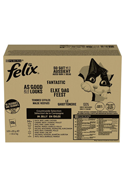 FELIX PURINA FANTASTIC Mix Country Flavors 120x85g