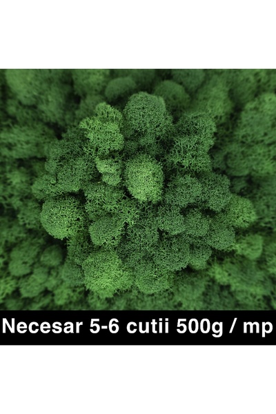 Roberto Rossi Licheni curatati si fara radacina conservati 500g NET, calitate...
