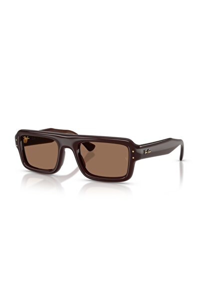 Ray-Ban Sunglasses Rb4954 52 689673