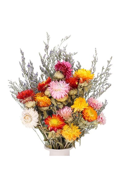 OEM Buchet de flori uscate Mușețel și Cocoroc multicolor 30 cm