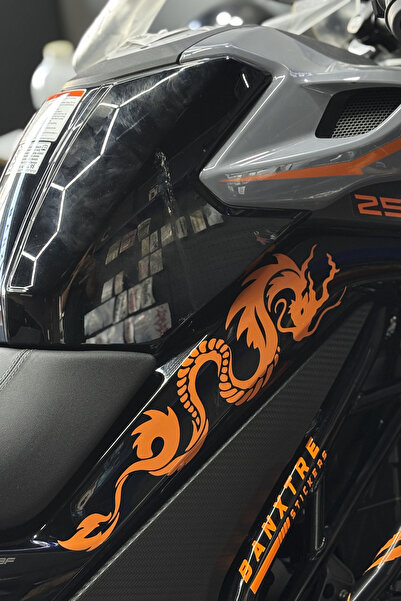 Banxtre مجموعة ملصقات CFMOTO NK250 المتوافقة مع تصميم Dragon Design متوسطة ال...