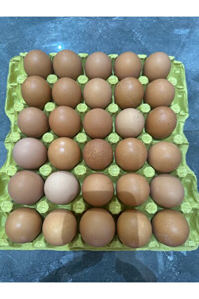 yöresel 30 lu XL köy yumurtası