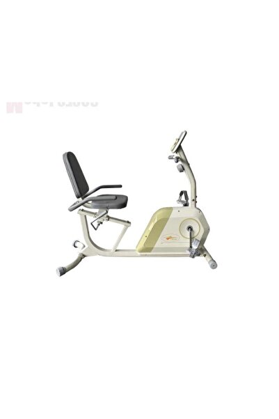 lijiujia Recumbent Bike Exercise Bike with Back Chair