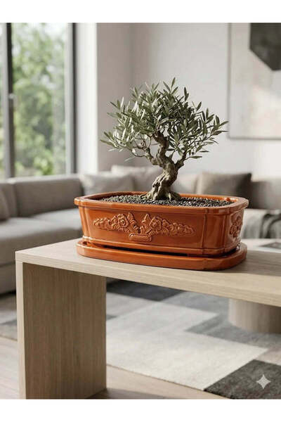 VaseAtelier Bonsai El Yapımı Zemin Büyük Bitki Dekoratif Beton Saksı 9 Lt Tur...