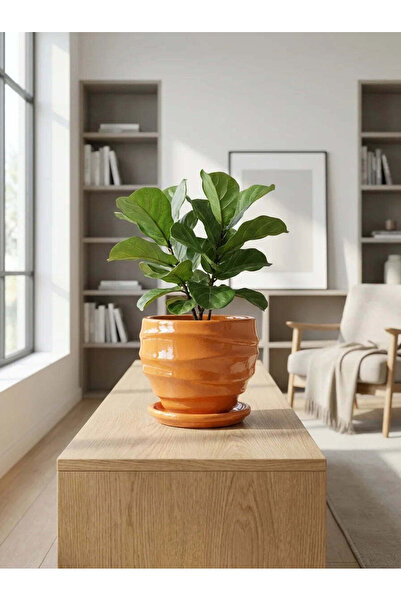 VaseAtelier Orin El Yapımı İç Mekan Balkon Çiçeklik Dekoratif Beton Saksı 4 L...